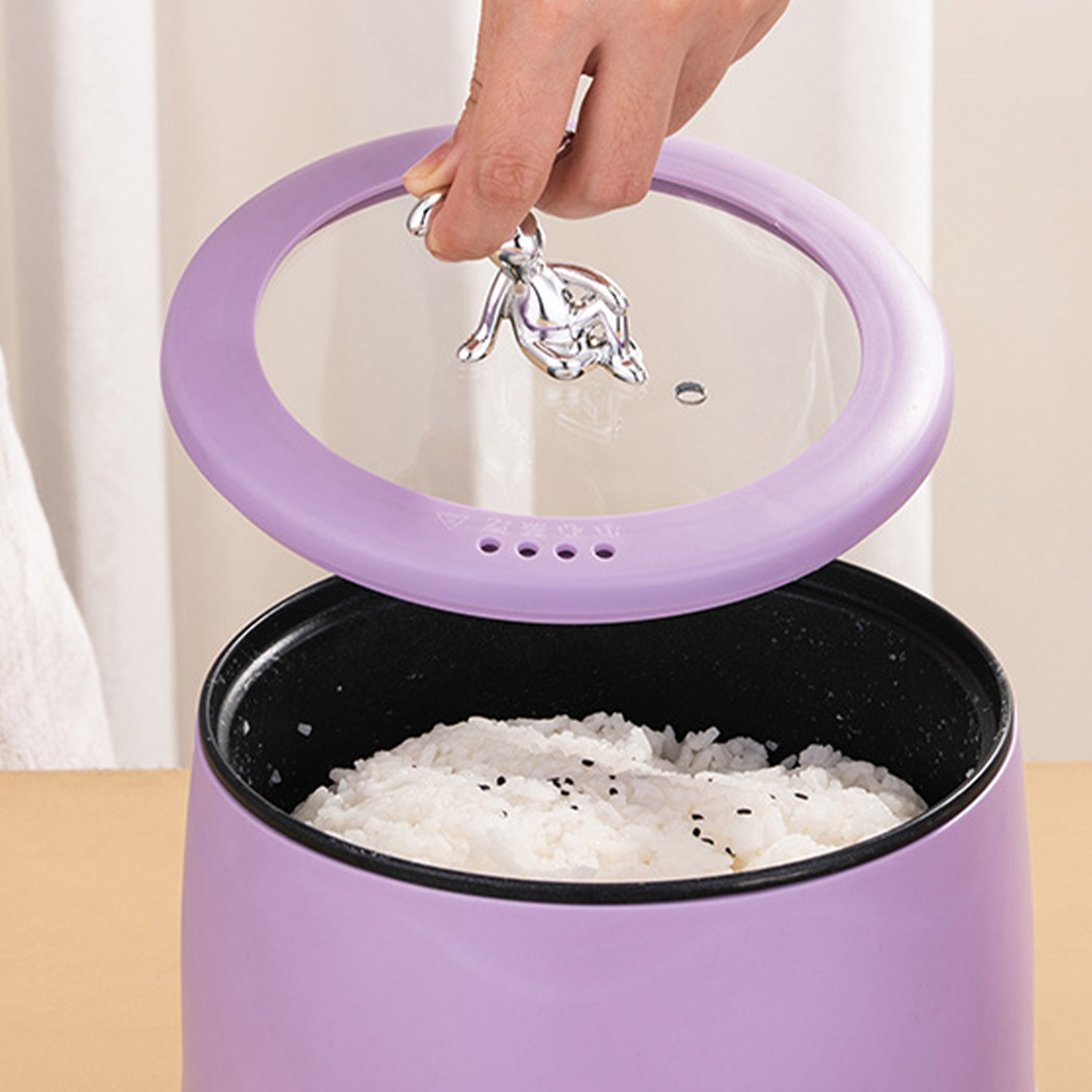 Mini cuiseur à riz électrique  - Meal Prep Healthy avis et prix